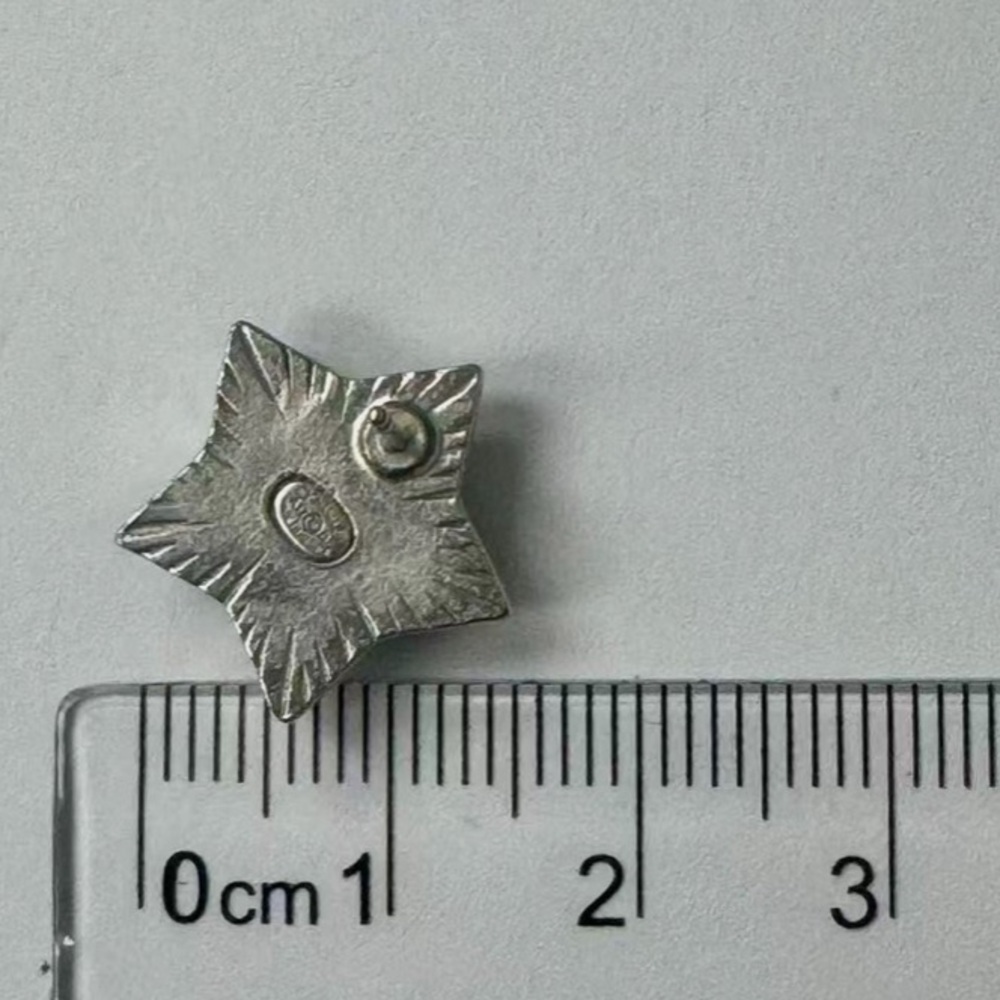 CHANEL CC Logos Black Star Silver Tone Stud Earrings - Picture 4 of 7